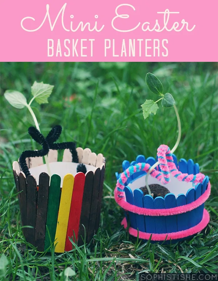 minieasterbasketplanters