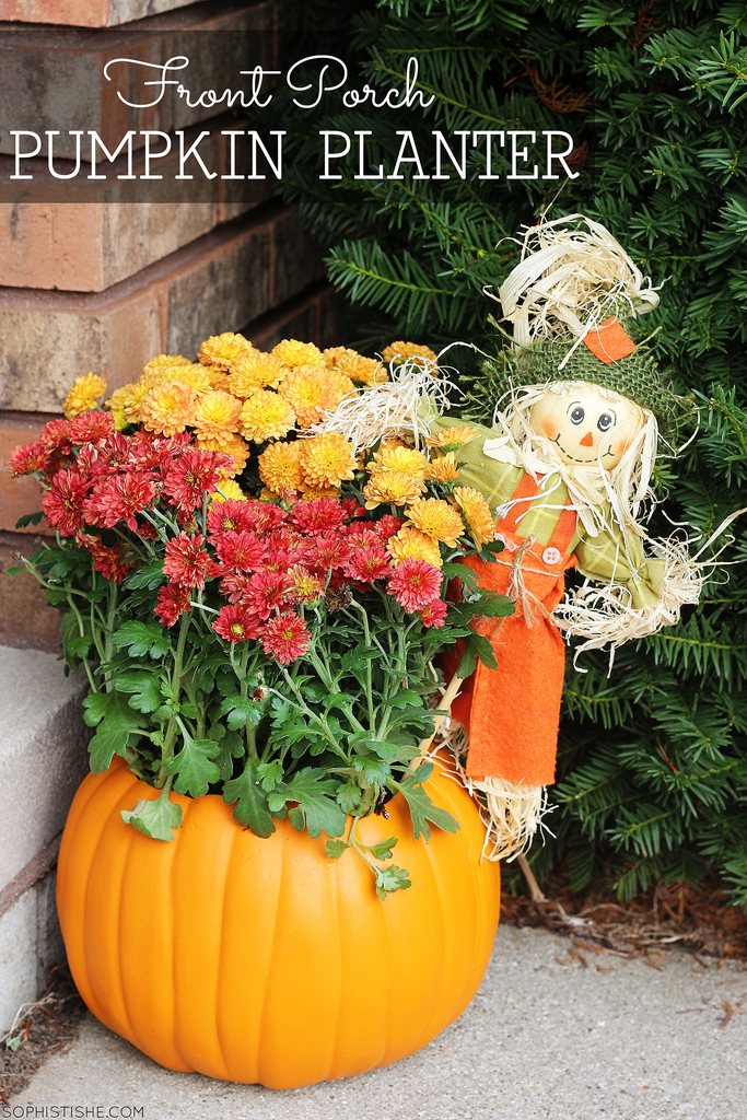 fall-halloween-pumpkin-planter-scarecrow-mums