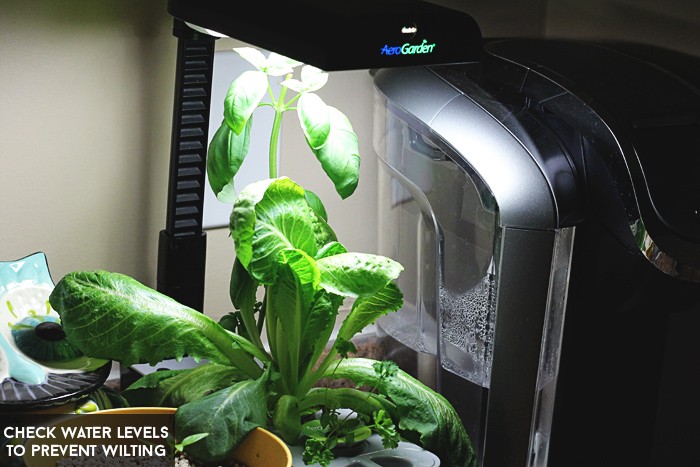 waterlevelaerogarden