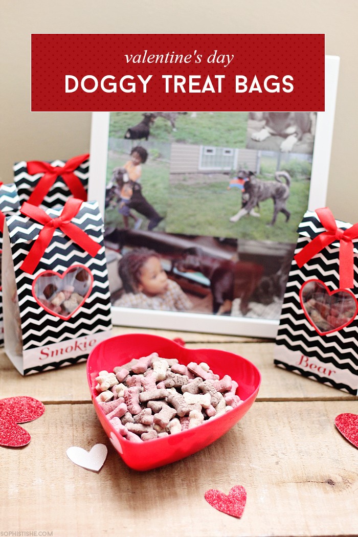 dogtreatbagsvalentine